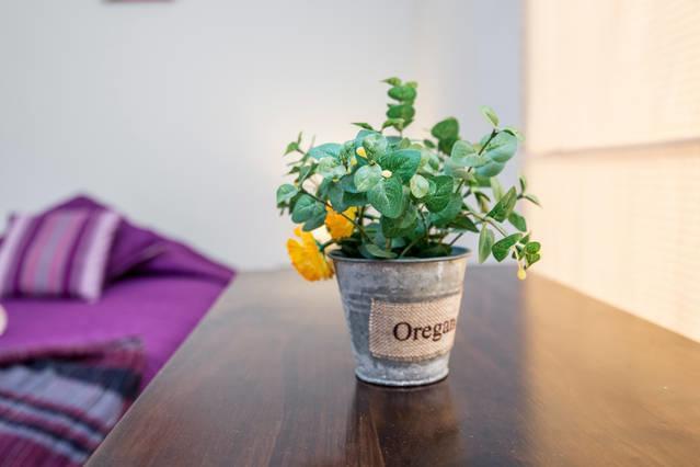 Pier 242 Miraflores B&B Lima Rom bilde